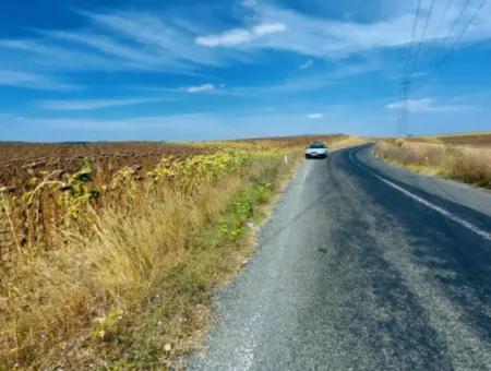 Tekirdağ Çanakçı Mahallesinde Anayol Cepheli 10.500 M2 Yatırımlık Tarla