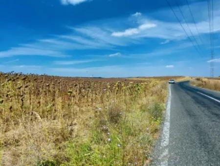 Tekirdağ Çanakçı Mahallesinde Anayol Cepheli 10.500 M2 Yatırımlık Tarla
