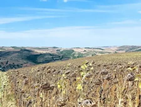 Tekirdağ Çanakçı Mahallesinde Anayol Cepheli 10.500 M2 Yatırımlık Tarla