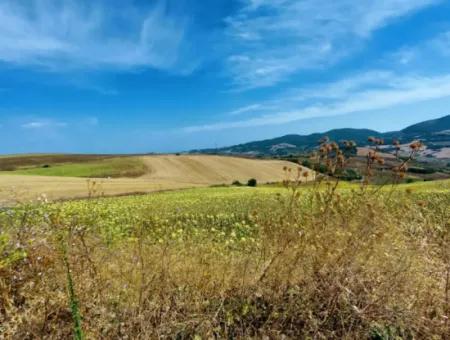 Tekirdağ Çanakçı Mahallesinde Anayol Cepheli 10.500 M2 Yatırımlık Tarla