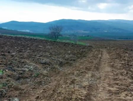 Tekirdağ Barbaros Bölgesinde Asyaport Limanı Mevcut İmar Planı İçinde Ticari Ve Sanayi Alanı Yatırım Fırsatı