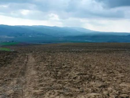 Tekirdağ Barbaros Bölgesinde Asyaport Limanı Mevcut İmar Planı İçinde Ticari Ve Sanayi Alanı Yatırım Fırsatı