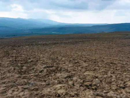 Tekirdağ Barbaros Bölgesinde Asyaport Limanı Mevcut İmar Planı İçinde Ticari Ve Sanayi Alanı Yatırım Fırsatı