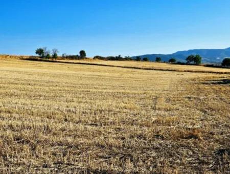 Asyaport Limanı Mevcut İmara Yakın 16.100 Acil Satılık Yatırımlık Kelepir Kupon Tarla