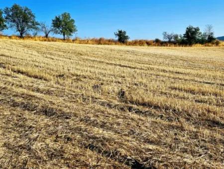 Asyaport Limanı Mevcut İmara Yakın 16.100 Acil Satılık Yatırımlık Kelepir Kupon Tarla