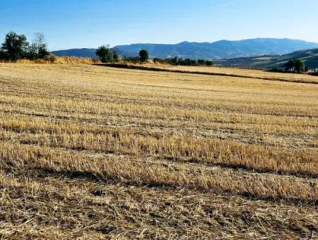 Asyaport Limanı Mevcut İmara Yakın 16.100 Acil Satılık Yatırımlık Kelepir Kupon Tarla