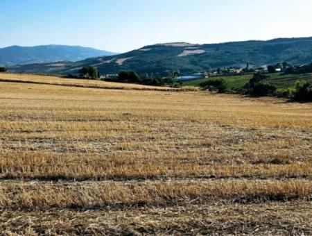 Asyaport Limanı Mevcut İmara Yakın 16.100 Acil Satılık Yatırımlık Kelepir Kupon Tarla