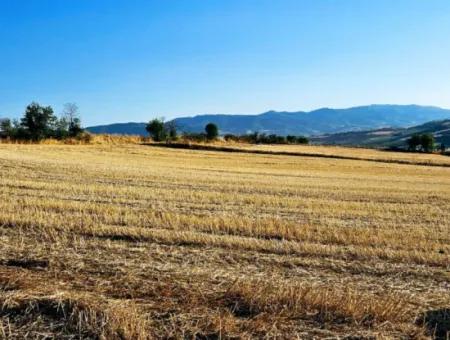 Asyaport Limanı Mevcut İmara Yakın 16.100 Acil Satılık Yatırımlık Kelepir Kupon Tarla
