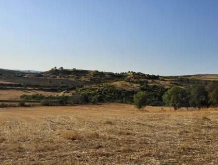 Asyaport Limanı Mevcut İmara Yakın 16.100 Acil Satılık Yatırımlık Kelepir Kupon Tarla