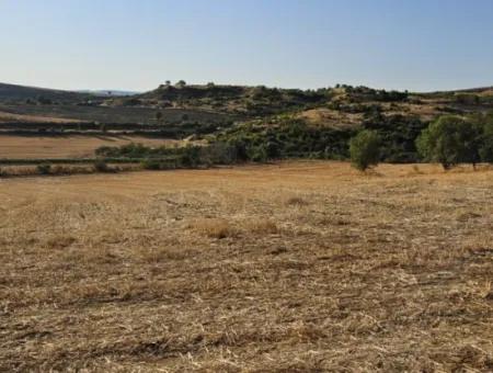 Asyaport Limanı Mevcut İmara Yakın 16.100 Acil Satılık Yatırımlık Kelepir Kupon Tarla
