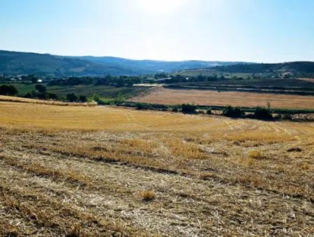 Asyaport Limanı Mevcut İmara Yakın 16.100 Acil Satılık Yatırımlık Kelepir Kupon Tarla
