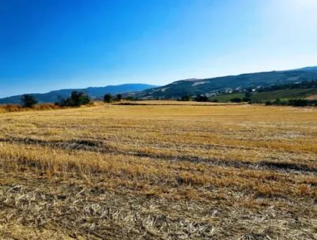 Asyaport Limanı Mevcut İmara Yakın 16.100 Acil Satılık Yatırımlık Kelepir Kupon Tarla