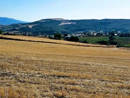 Asyaport Limanı Mevcut İmara Yakın 16.100 Acil Satılık Yatırımlık Kelepir Kupon Tarla