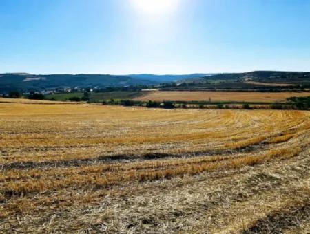 Asyaport Limanı Mevcut İmara Yakın 16.100 Acil Satılık Yatırımlık Kelepir Kupon Tarla