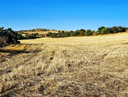 Asyaport Limanı Mevcut İmara Yakın 16.100 Acil Satılık Yatırımlık Kelepir Kupon Tarla