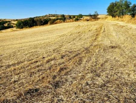 Asyaport Limanı Mevcut İmara Yakın 16.100 Acil Satılık Yatırımlık Kelepir Kupon Tarla