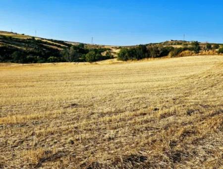 Asyaport Limanı Mevcut İmara Yakın 16.100 Acil Satılık Yatırımlık Kelepir Kupon Tarla
