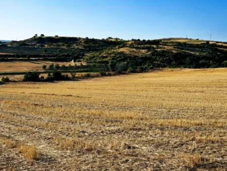 Asyaport Limanı Mevcut İmara Yakın 16.100 Acil Satılık Yatırımlık Kelepir Kupon Tarla