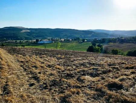 Asyaport Limanı Mevcut İmara Yakın 16.100 Acil Satılık Yatırımlık Kelepir Kupon Tarla
