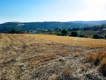 Asyaport Limanı Mevcut İmara Yakın 16.100 Acil Satılık Yatırımlık Kelepir Kupon Tarla