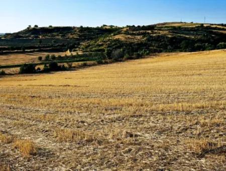 Asyaport Limanı Mevcut İmara Yakın 16.100 Acil Satılık Yatırımlık Kelepir Kupon Tarla
