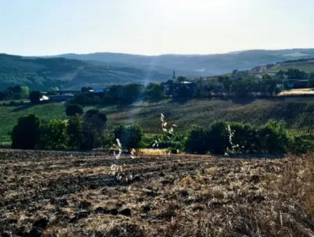 Asyaport Limanı Mevcut İmara Yakın 16.100 Acil Satılık Yatırımlık Kelepir Kupon Tarla