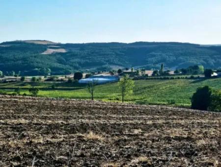 Asyaport Limanı Mevcut İmara Yakın 16.100 Acil Satılık Yatırımlık Kelepir Kupon Tarla