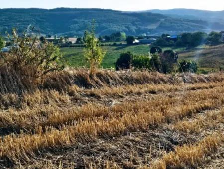 Asyaport Limanı Mevcut İmara Yakın 16.100 Acil Satılık Yatırımlık Kelepir Kupon Tarla
