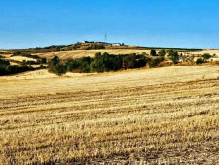 Asyaport Limanı Mevcut İmara Yakın 16.100 Acil Satılık Yatırımlık Kelepir Kupon Tarla