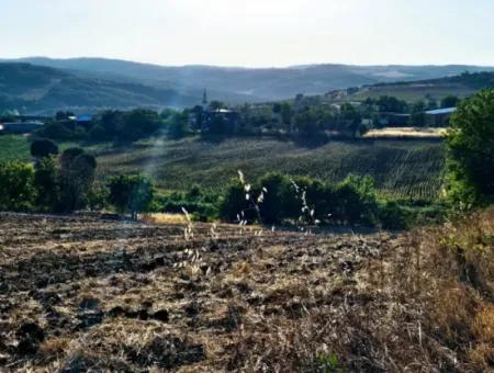 Asyaport Limanı Mevcut İmara Yakın 16.100 Acil Satılık Yatırımlık Kelepir Kupon Tarla