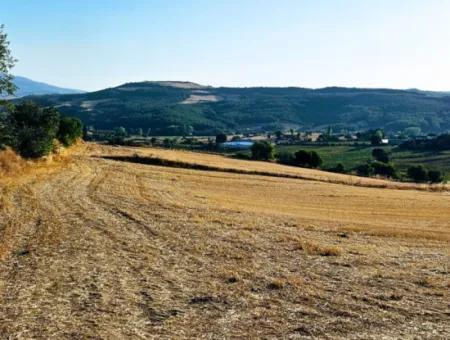 Asyaport Limanı Mevcut İmara Yakın 16.100 Acil Satılık Yatırımlık Kelepir Kupon Tarla