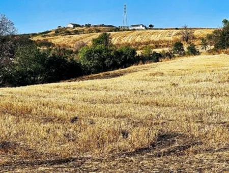 Asyaport Limanı Mevcut İmara Yakın 16.100 Acil Satılık Yatırımlık Kelepir Kupon Tarla