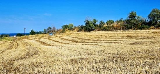 Asyaport Limanına Yakın 615 M2 Kelepir Köşe Arsa