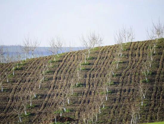 Tekirdağ Süleymanpaşa İlçesi