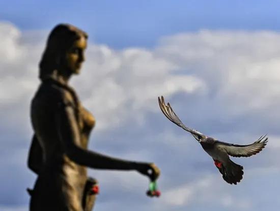 Tekirdağ Süleymanpaşa İlçesi