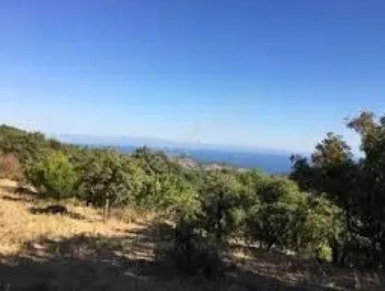 Tekirdağ Süleymanpaşa  Ahmetçe Mahallesi