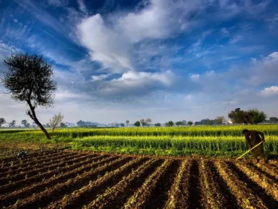 Tekirdağ Süleymanpaşa  Banarlı Mahallesi