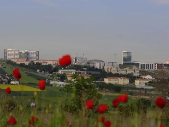 Tekirdag For Sale, Rent, Land, Field, Flat, Detached House, Hotel, Villa, Hotel, Msc Asia Port, Zoned, Bargain, Sea, Nature, Landscape, Prefabricated House