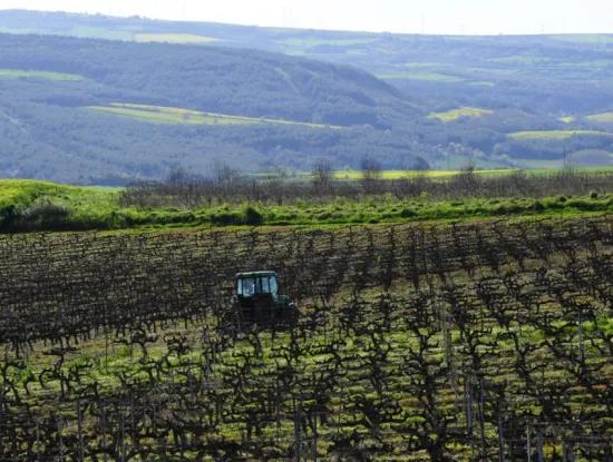 泰基爾達 出售, 出租, 土地, 場地, 公寓, 獨立式住宅, 酒店, 別墅, 酒店, Msc 亞洲港口, 分區, 討價還價, 海, 自然, 景觀, 預製房屋