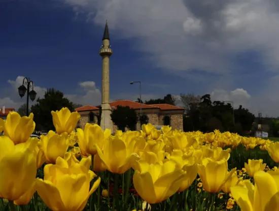 Tekirdağ Süleymanpaşa Barbaros, Kumbağ  Apart