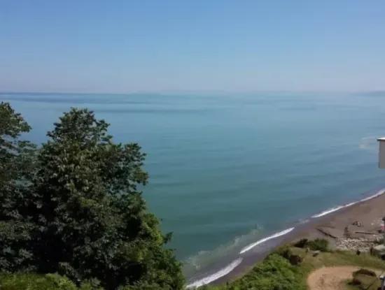 Kumbağ Avşa Feribot Saatleri